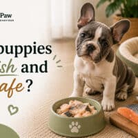 Can Puppies Eat Fish and Is It Safe?
