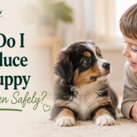 How Do I Introduce My Puppy to Children Safely?