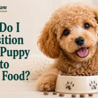 How Do I Transition From Puppy Food to Adult Food?