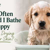 How Often Should I Bathe My Puppy Without Drying Out Their Skin?