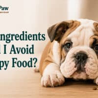 What Ingredients Should I Avoid in Puppy Food?